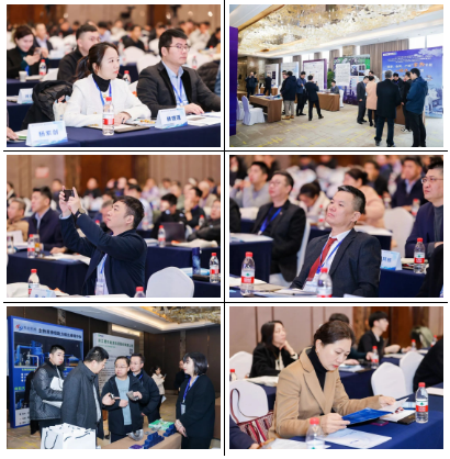 1735279410987525.png 1735279402341.png