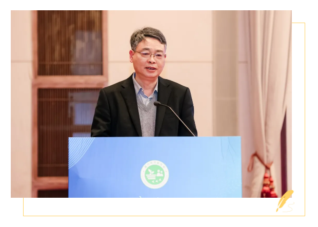 1740982537354078.png 1740982533153.png